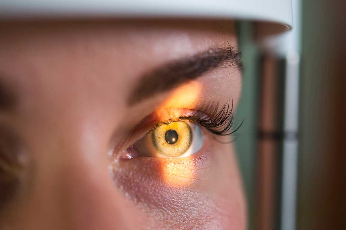 Retinal Mapping: What Is It and What Is It For?